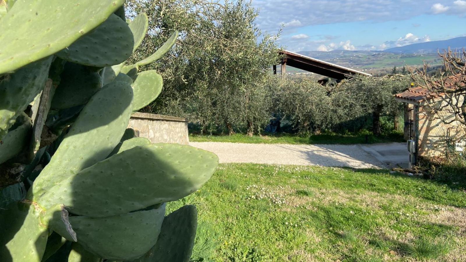 Casa Civico22 Villa Fratta Todina Dış mekan fotoğraf